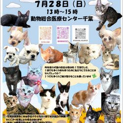 保護犬、猫の譲渡会 サムネイル1