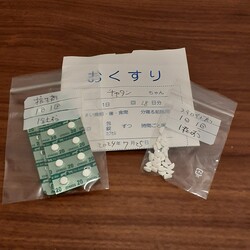 「【こももちゃん】【ちゃたん君】【凪君】について」サムネイル2