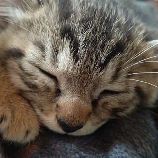 可愛がって下さる方、お待ちしております