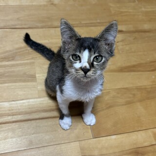 腕枕で寝るのが大好きな甘えん坊な男の子⭐︎