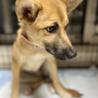 調整中のため一旦ストップにてお願いします