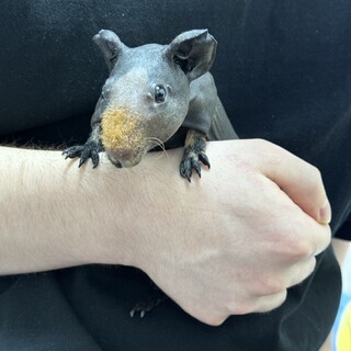 ありがとうございました