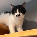 少しずつ距離を縮めていく時間も愛おしい♪ちゃんぽん
