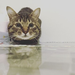 人が大好き。お別れを乗り越えて新たな一生を！