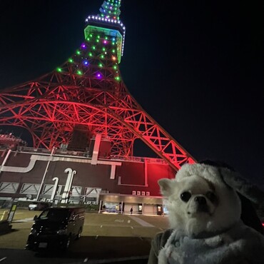 【東京都】港区東京タワー