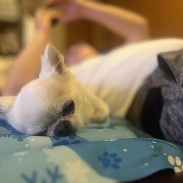 【自宅】夏はひんやりベッド