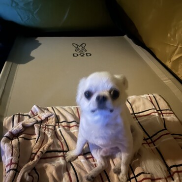 【長野県】小海キャンプ場