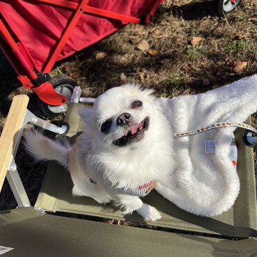 【お散歩】近所の公園にピクニック