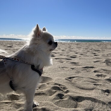 【千葉県】御宿の海辺