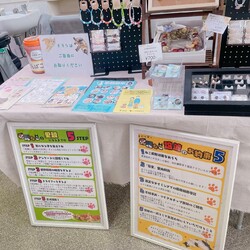 保護猫のお見合い会 サムネイル3