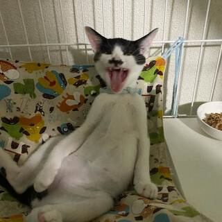 チビおじさん⭐︎すいちゃん