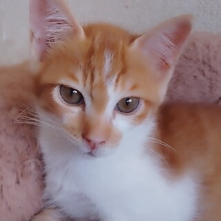 甘えん坊な女の子