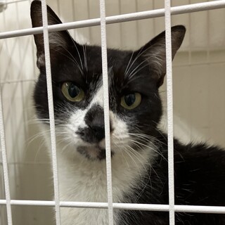 トライアル中！９月11日人間大好き可愛い女子