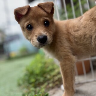スタイル抜群な幹太