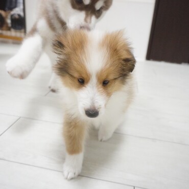 の写真