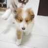 の写真