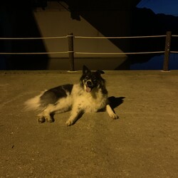 「狭いようで広すぎる」サムネイル2