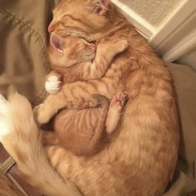 しょう0828のカバー写真