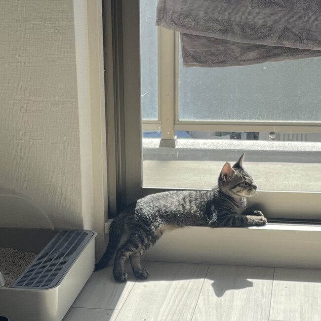 asu.08のカバー写真