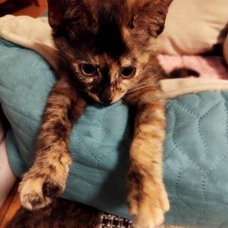 とっても元気な女の子♪