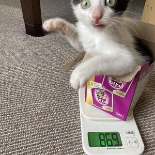 ちょっとビビリな男の子♪