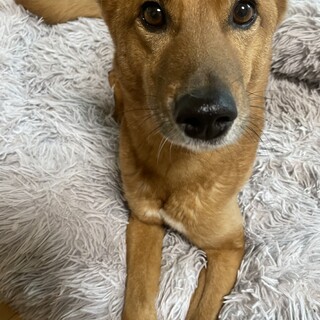 素敵なご家族に巡りあえました