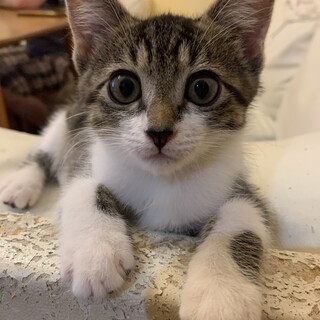 天真爛漫可愛い男の子♡