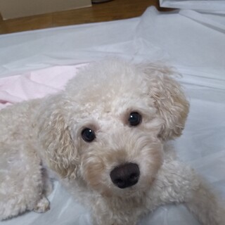 【応募多数一旦停止します】慎重派男子