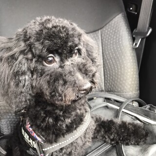 元気いっぱい　アロくん