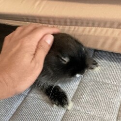 「ウットリ～」サムネイル2