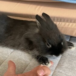 「ウットリ～」サムネイル3