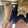 りょーーーへい