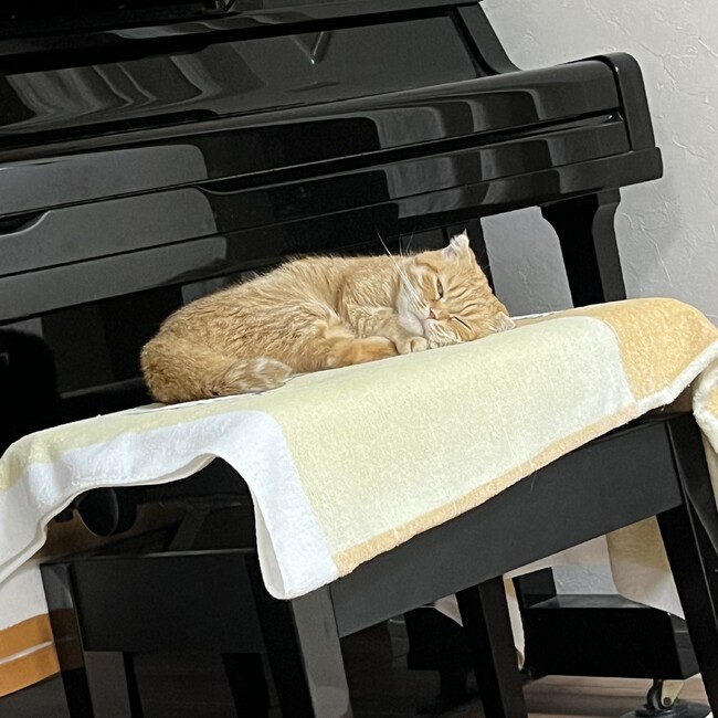 まるりおのカバー写真