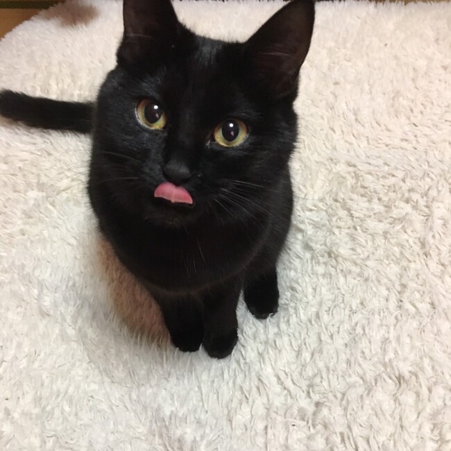 フリーダムネットワークのカバー写真