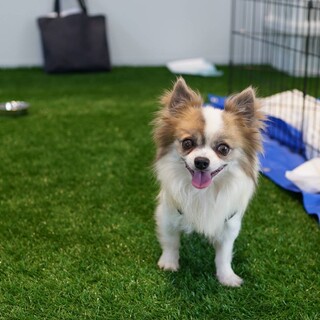 目がキレイなイケメン、シンバくん