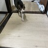 今日はかなり大掛かりな模様がえ！母ちゃんが使ってた部屋を全撤去して猫部屋にします。何故なら西側の部屋で冷房の効きが悪過ぎるからw この前熱中症になりかけたの…