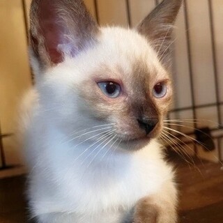 元気いっぱい★研二