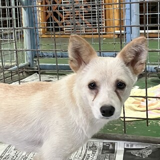 ウルウルお目々❗️怖がりな男の子❗️