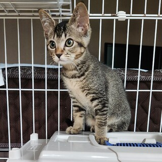 ちょっとビビりだけど甘えた女子