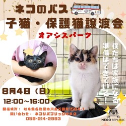 子猫・保護猫譲渡会を開催！僕たちは家族になる準備はできている！＠オアシスパーク