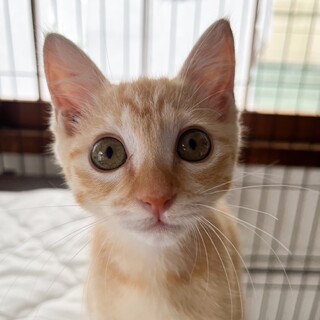 8/4津田沼ෆ⃛甘えん坊ですෆ⃛ちぴちゃん