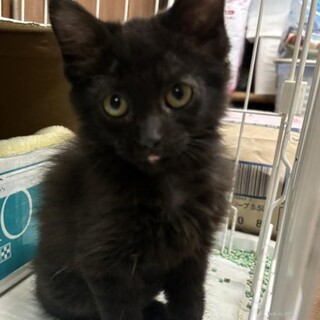 人間だいすき　そらくん