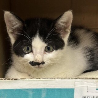 人間だいすき うみくん