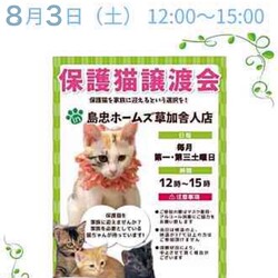 8/3（土）島忠ホームズ草加舎人店保護猫譲渡会