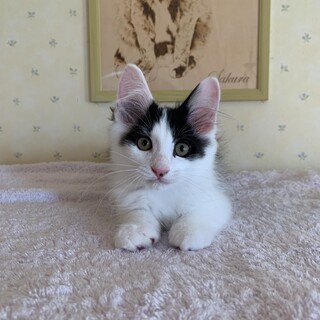 元気で優しい男の子♡