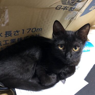 だいぶ大きくなりました