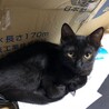だいぶ大きくなりました