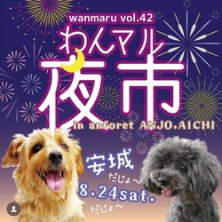 わんマル夜市安城 サムネイル1