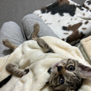 もずくちゃんと一緒に幸せになりました☆