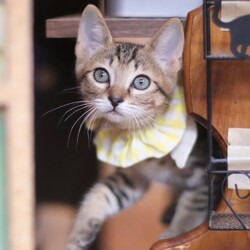 ストーカーになっちゃう？！甘えんぼう大集合！